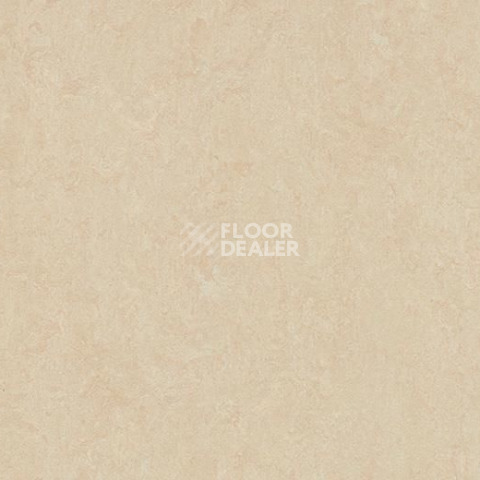 Линолеум Forbo Marmoleum Marbled Fresco 3861-386135 Arabian pearl фото 1 | FLOORDEALER